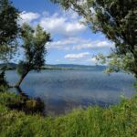What to See on Lake Bolsena: Places and Sights Not to Miss